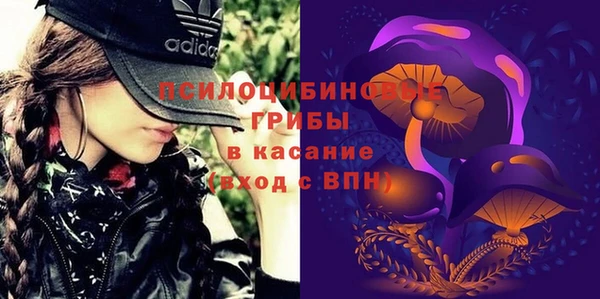 ECSTASY Козловка