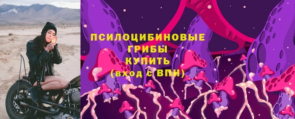 ешки Кодинск
